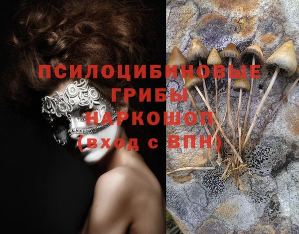 а пвп мука Балабаново