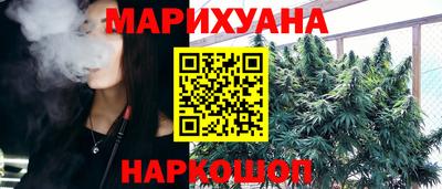 крисы Аргун