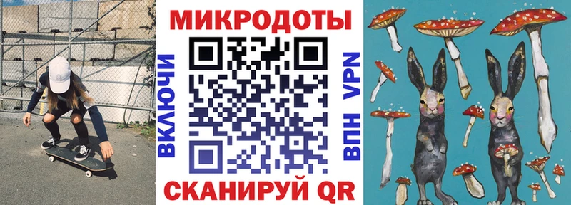 Галлюциногенные грибы Psilocybine cubensis  Буйнакск 