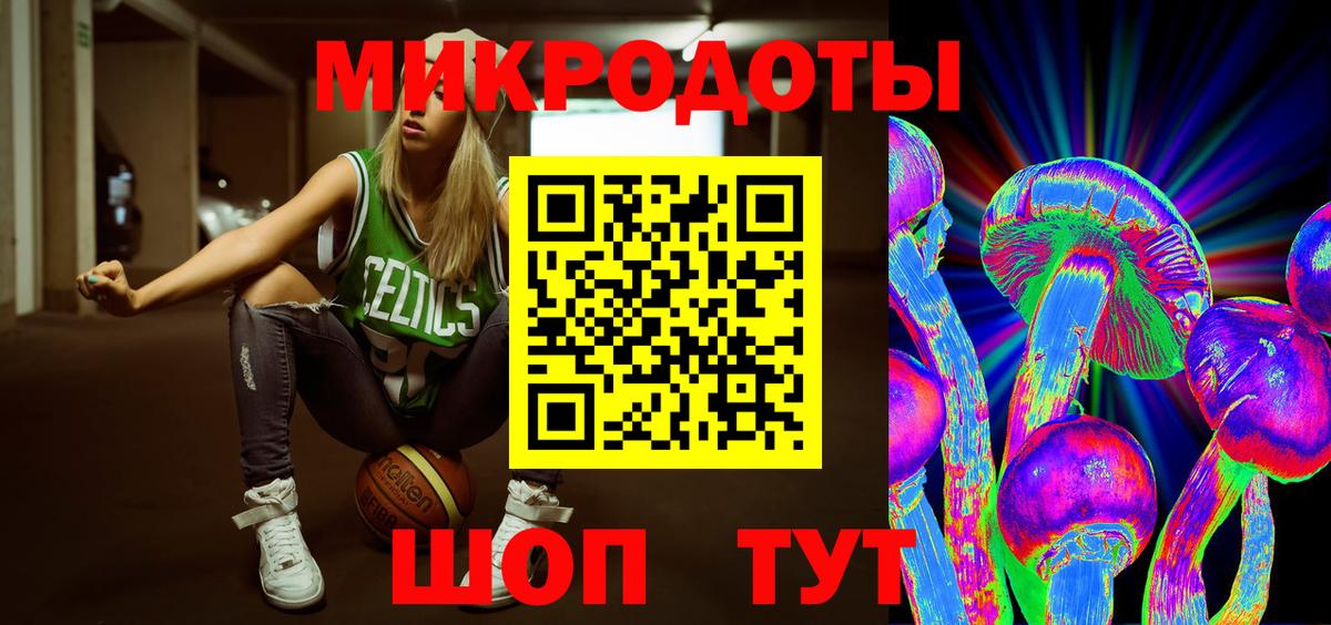 Буйнакск  Псилоцибиновые грибы Cubensis  Галлюциногенные грибы мицелий  где продают   Вход с VPN 