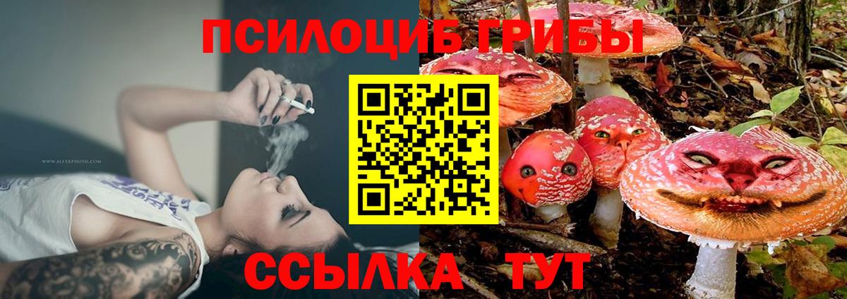 Галлюциногенные грибы прущие грибы Буйнакск